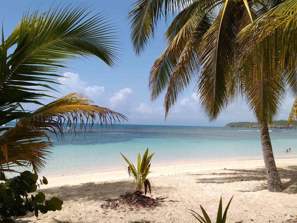 Appartements: Plage & Commerces A 200M Sainte-Anne  Eksteriør billede