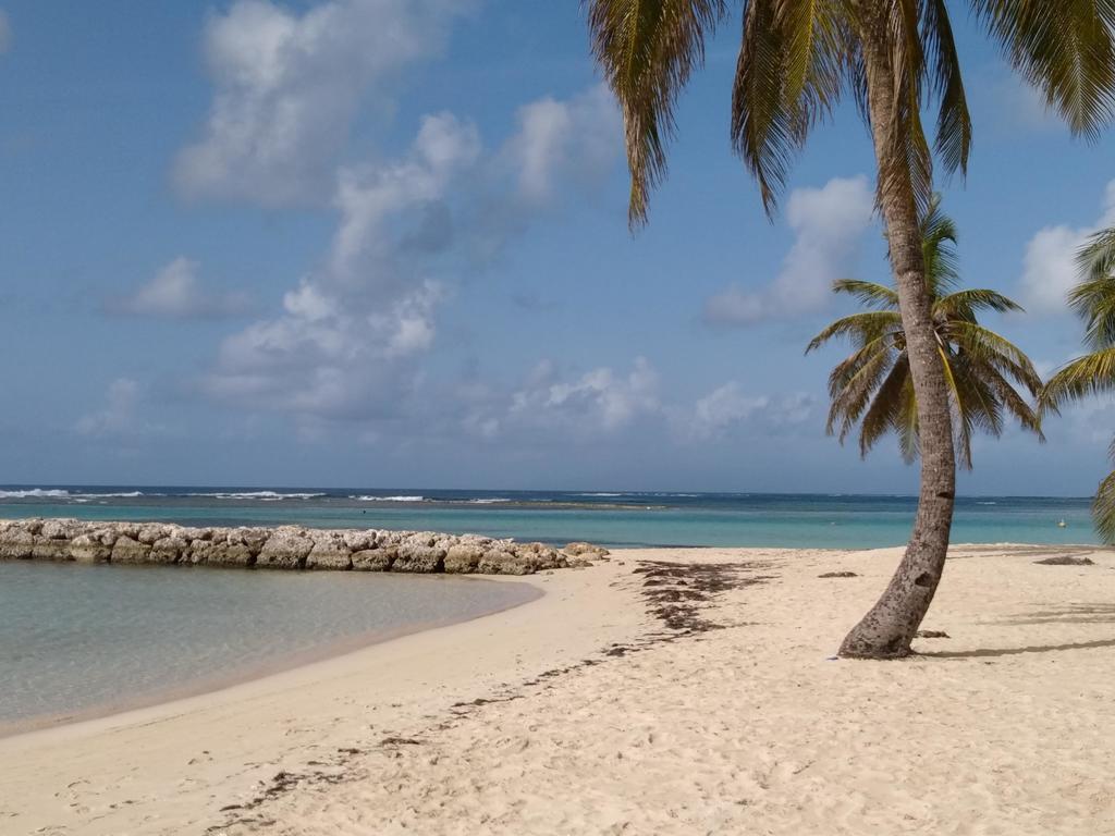 Appartements: Plage & Commerces A 200M Sainte-Anne  Eksteriør billede